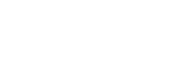Light System